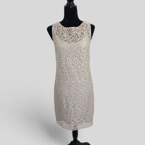 NWT Muse Boston Proper Double Layered Dress Size 6